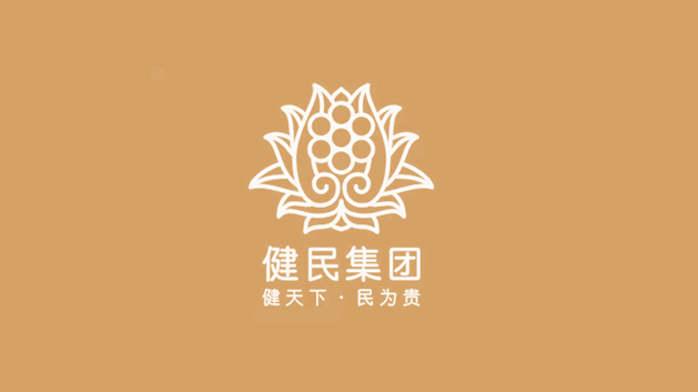 健民集團logo與vi設(shè)計