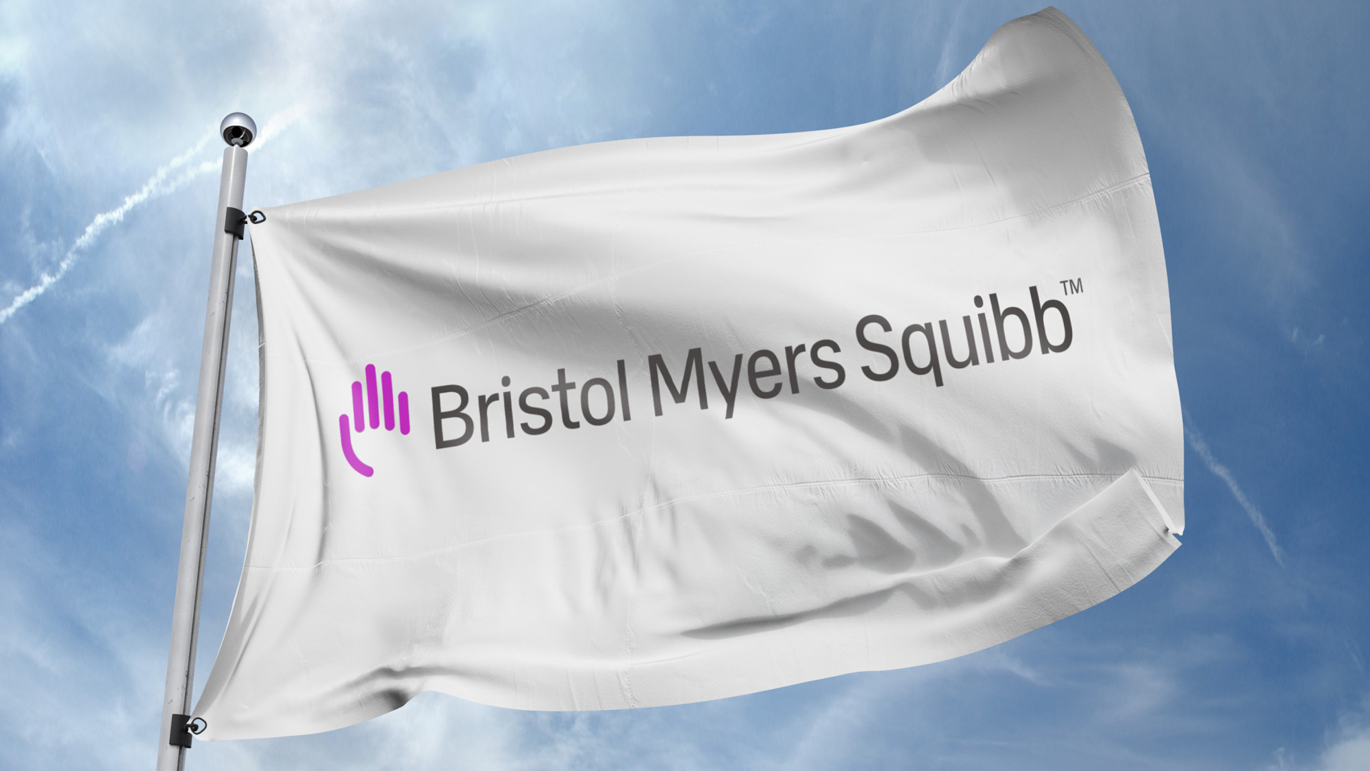 Bristol Myers Squibb應用005